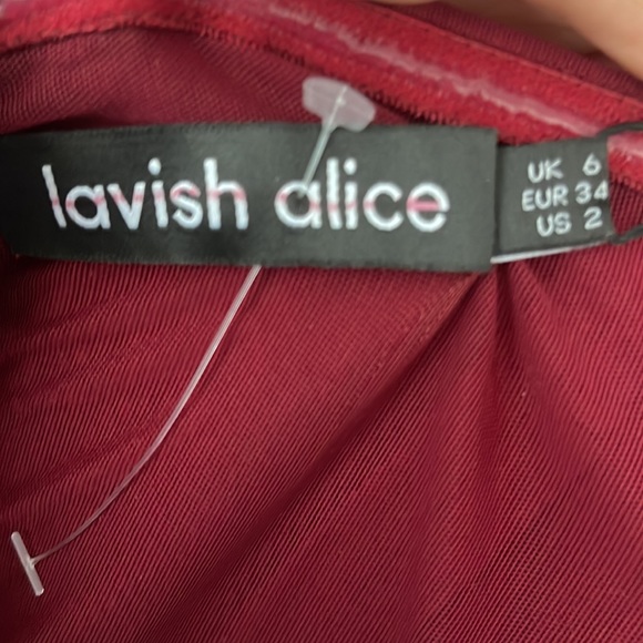 Lavish Alice Mesh Corset Dress Burgundy - Picture 6 of 6